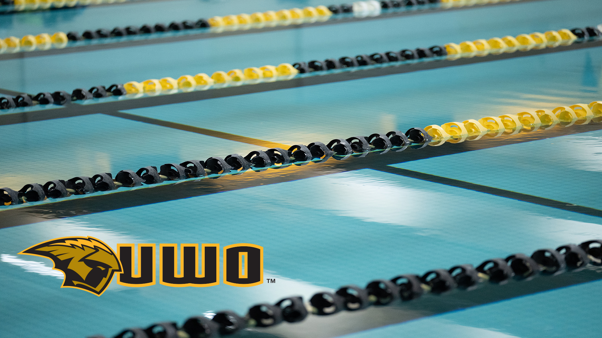 Saturday's Swimming & Diving Meet Against Carthage College Canceled