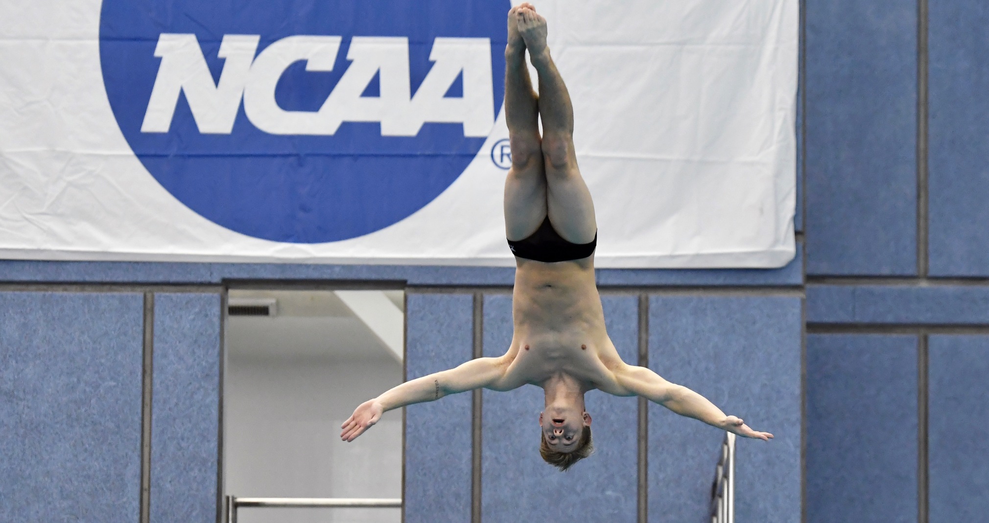 Wilke Dives To A Pair Of Top-16 Finishes At NCAA Championship