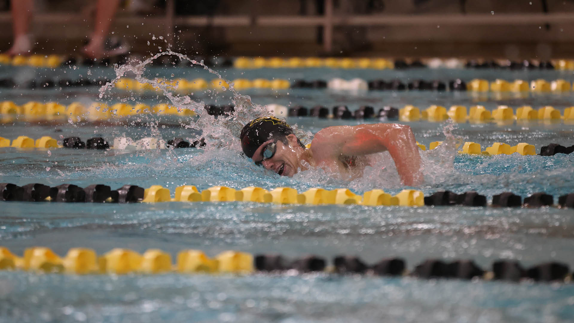 Titans Men's Swim and Dive to Compete at Carroll