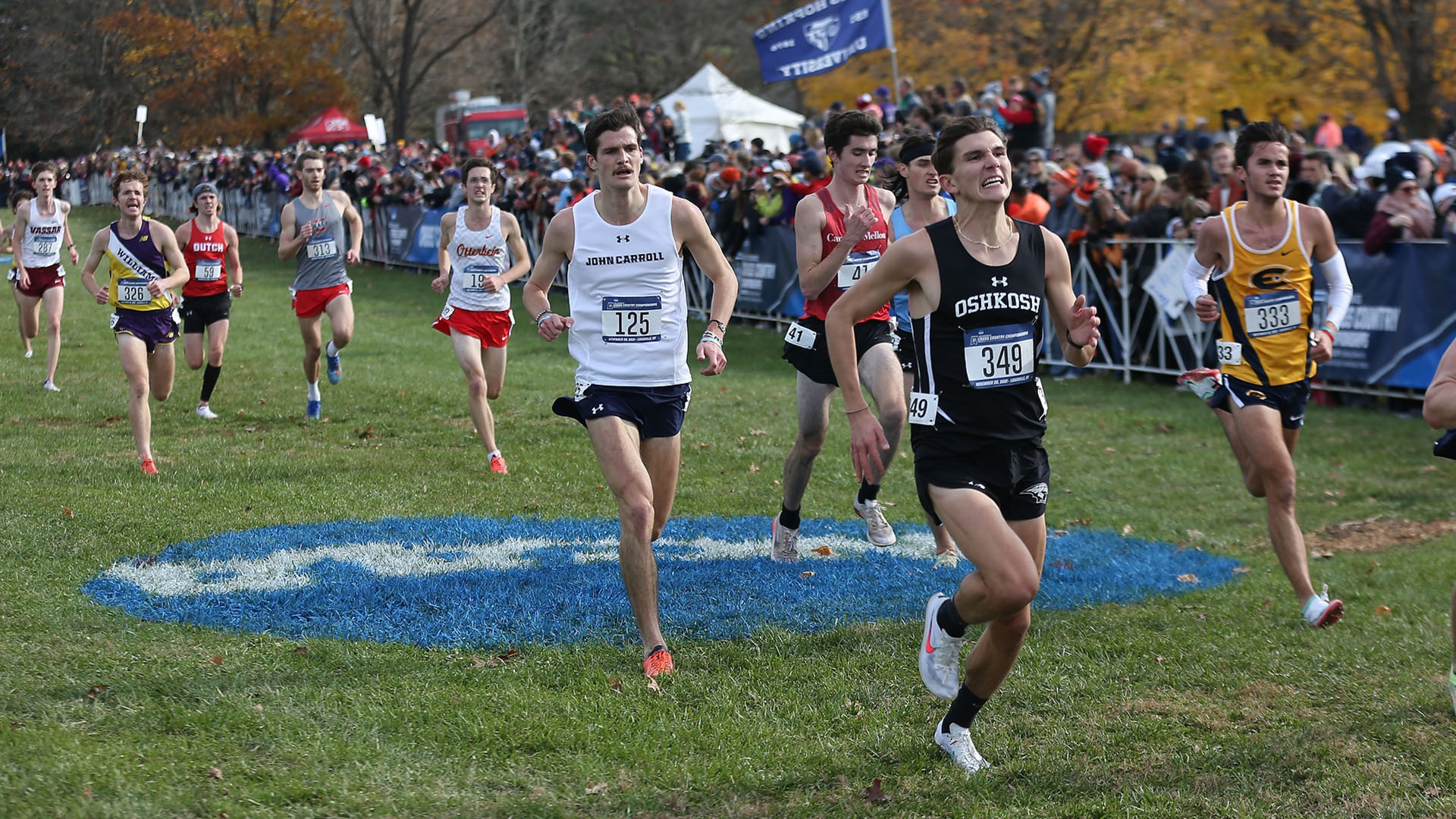Mitchell Bradford paced the Titans with his 79th-place finish at the NCAA Division III Championship.