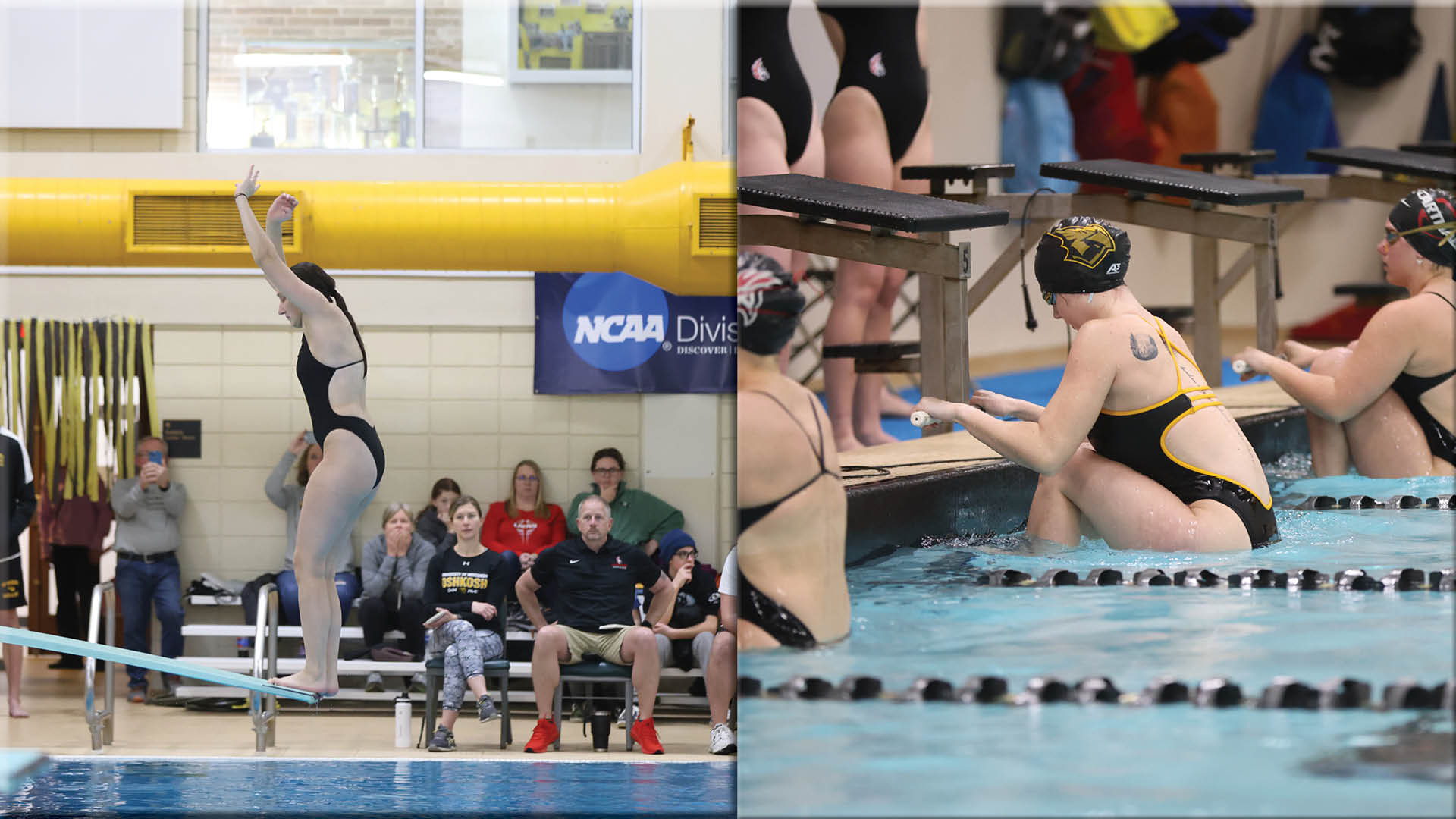 Women's Swim and Dive Hits the Pool for Weekend Action