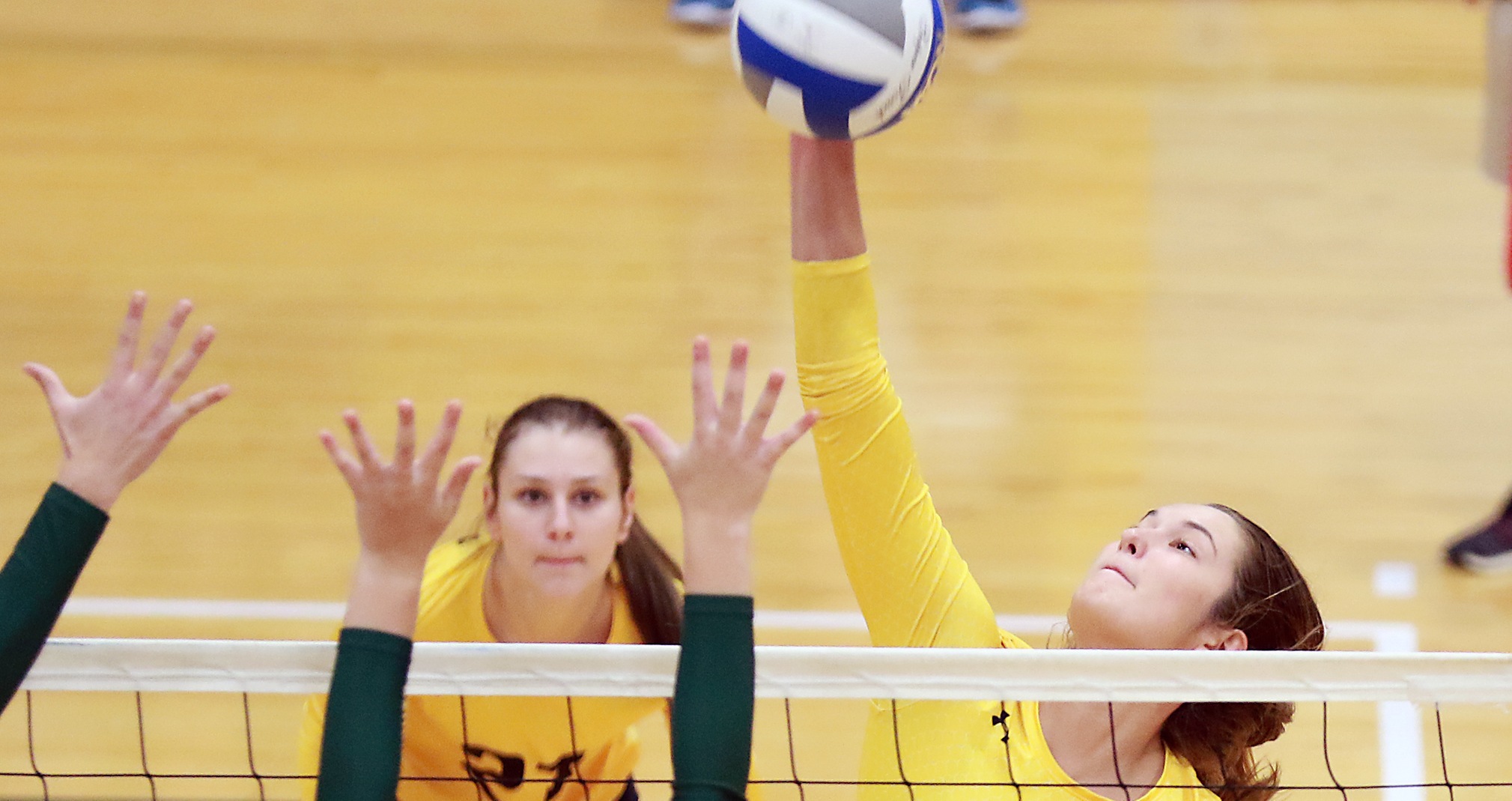 Tina Elstner became the first Titan in four years to reach 1,000 career kills.