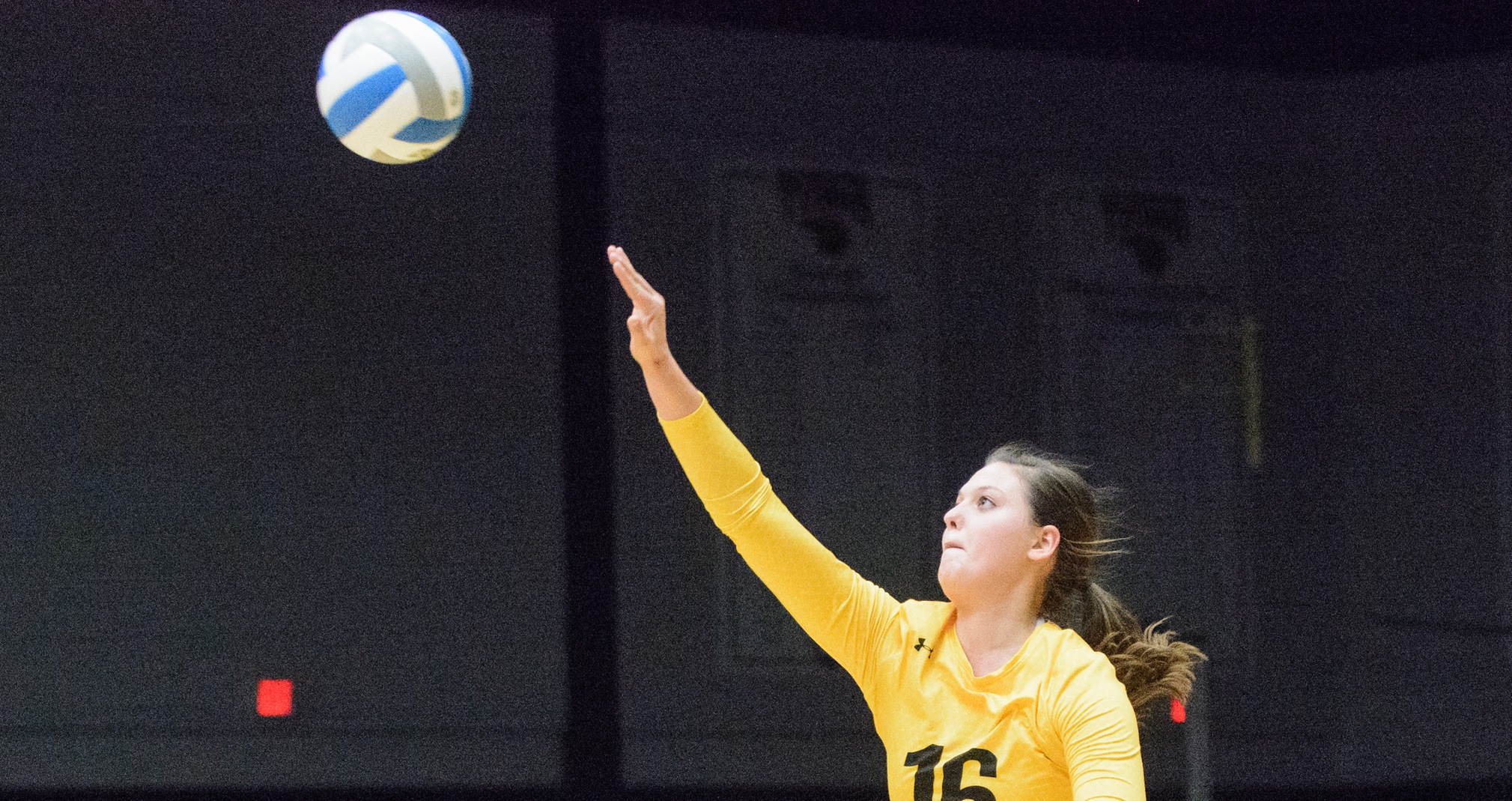 Carly Lemke hit .348 with eight kills and three block assists against the Pointers.