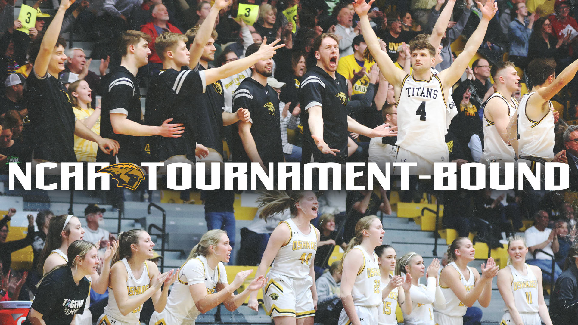 Titan Men and Women to Compete in NCAA Tourney