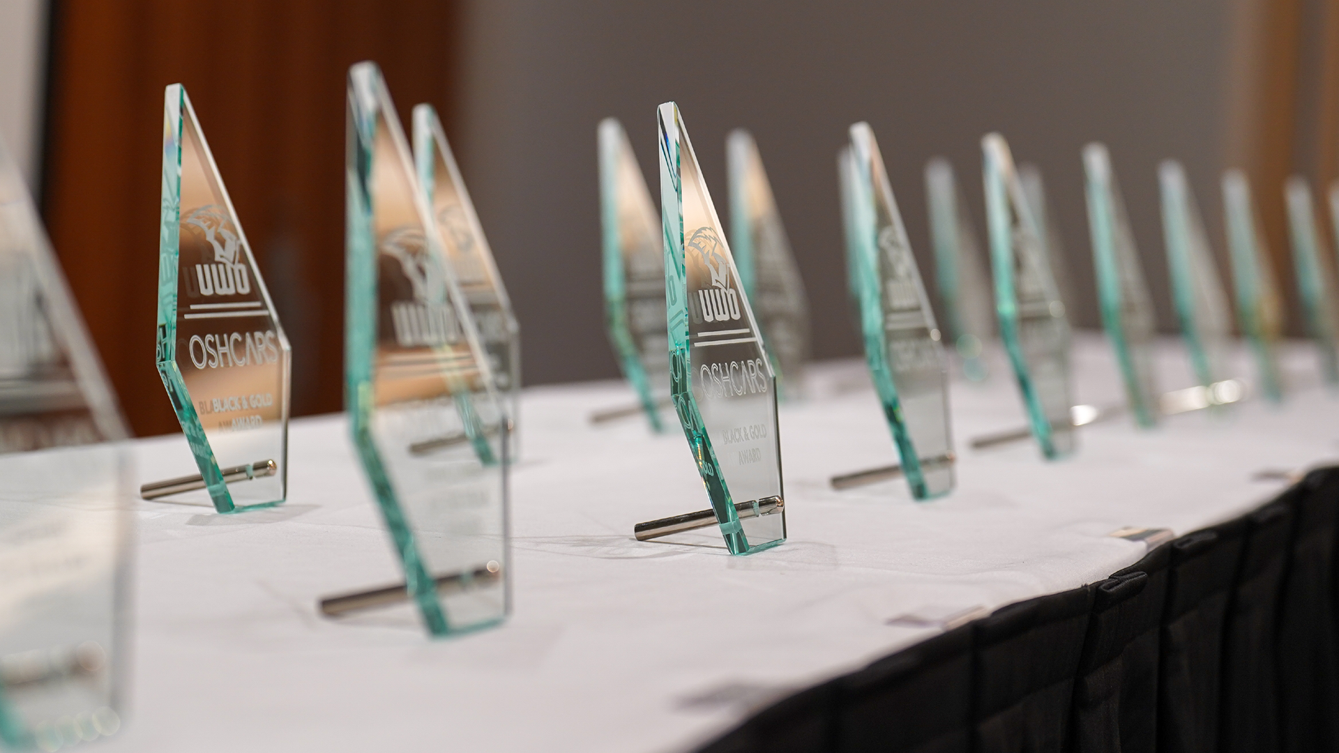 Seventh Annual Oshcars Award Winners Announced