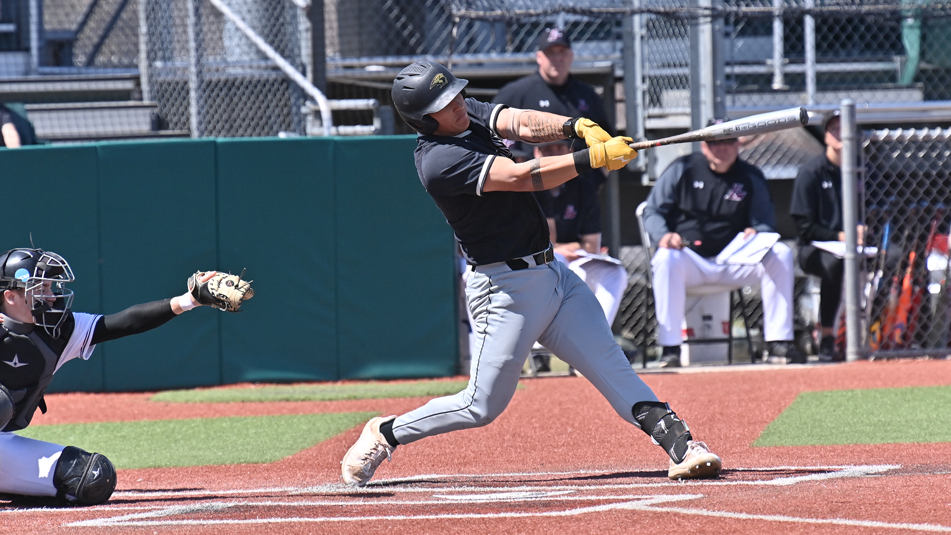 Nick Shiu went 5-for-9 with 2 RBIs and 2 doubles against the Eagles on Saturday. Photo Credit: Jim Lund, UW-La Crosse Sports Information