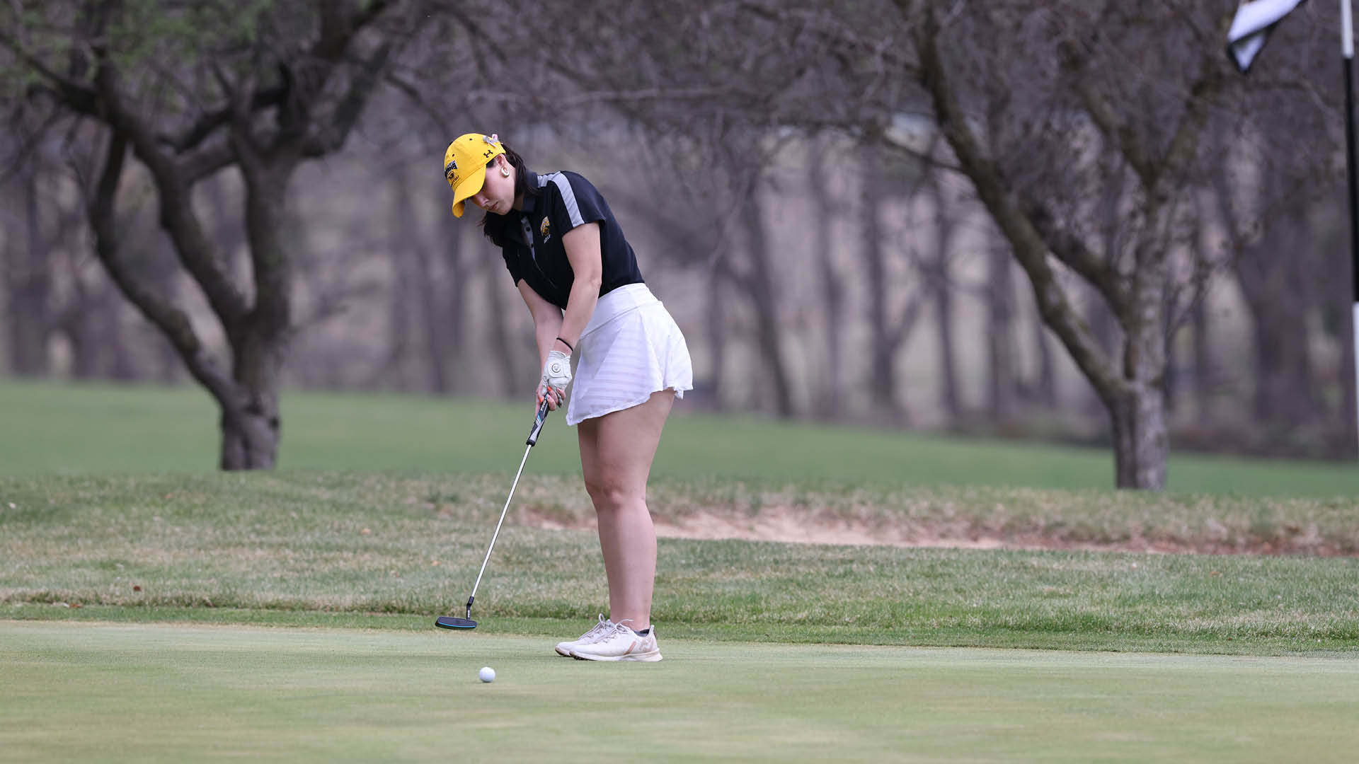 Titans Golf to Compete at UW-Whitewater Spring Invite