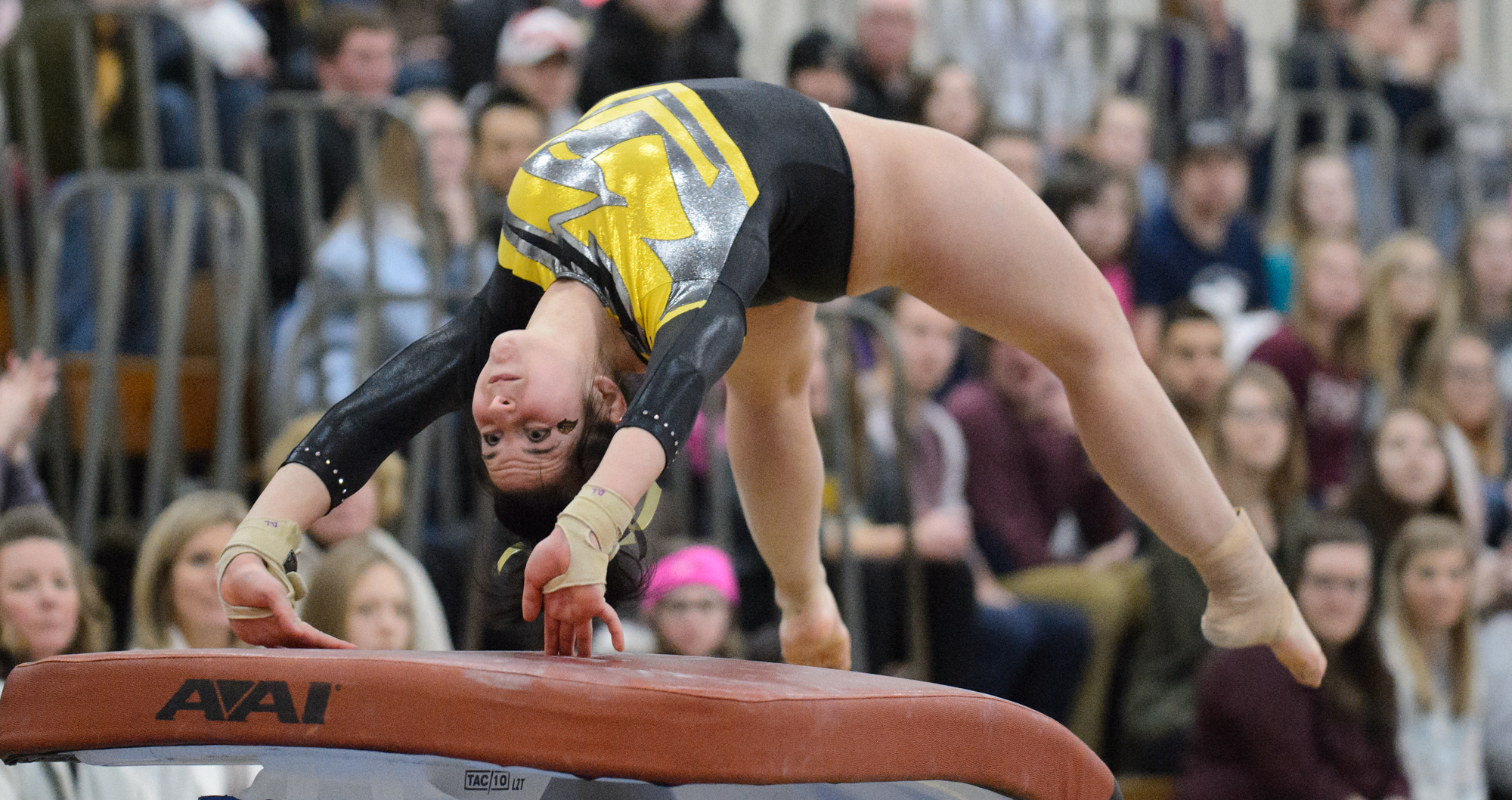 Dana LoCascio recorded a season high with her score of 9.325 on the vault.