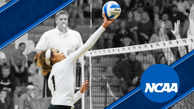Nerissa Vogt ranked third in the NCAA Division III with 169 blocks and eighth with 1.31 blocks per set.