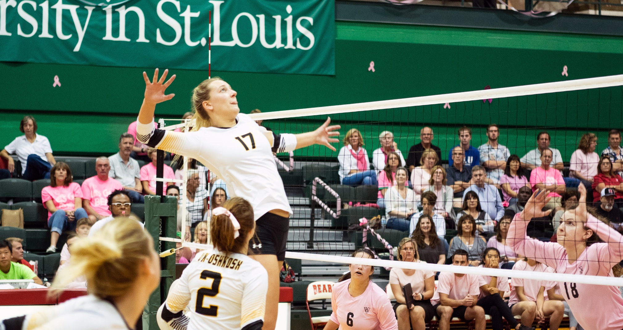 Taylor Allen totaled 11 kills against the Vikings and Tigers.