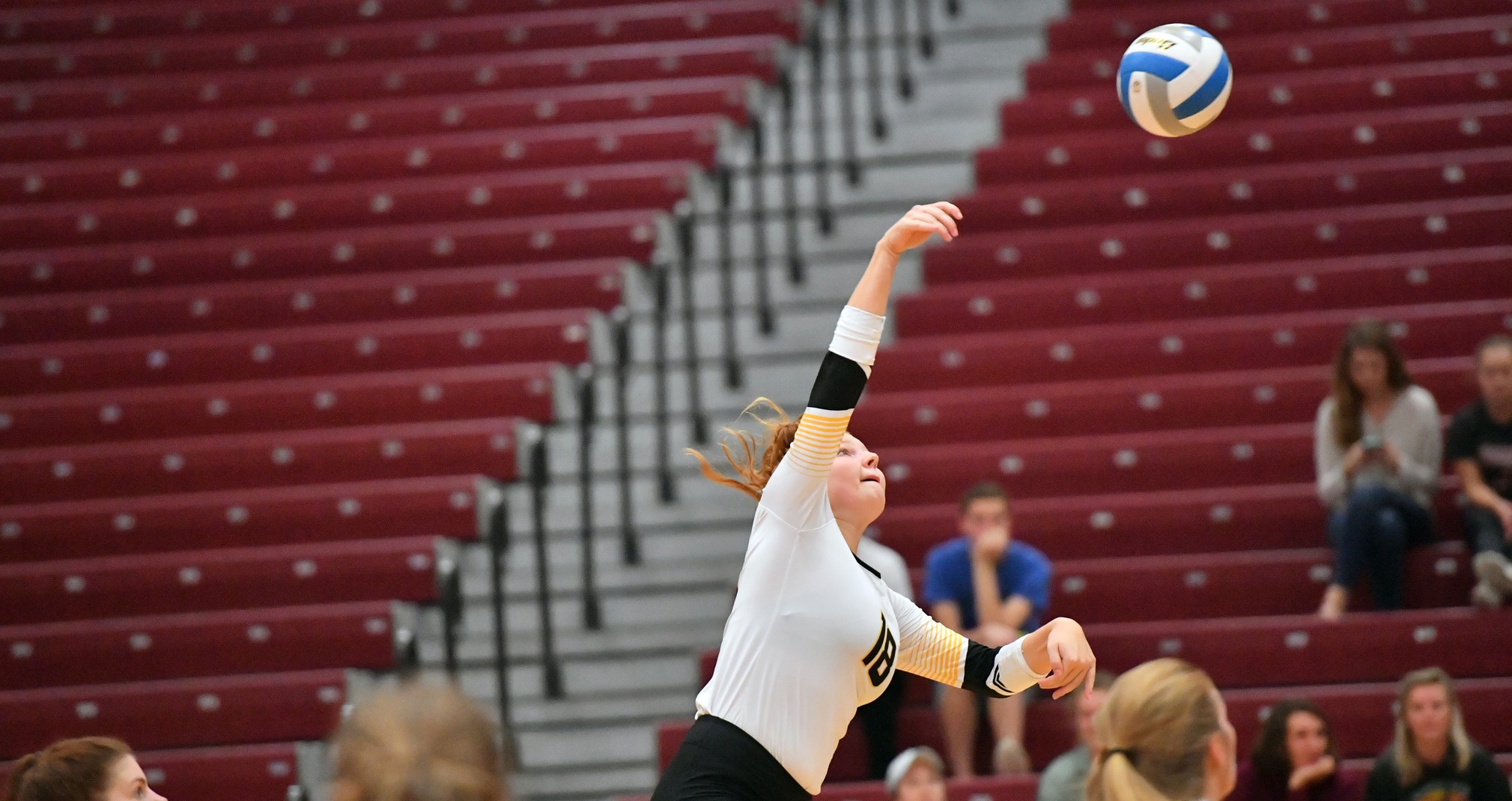 Renee Rush had seven kills, eight digs and two blocks against the Eagles.